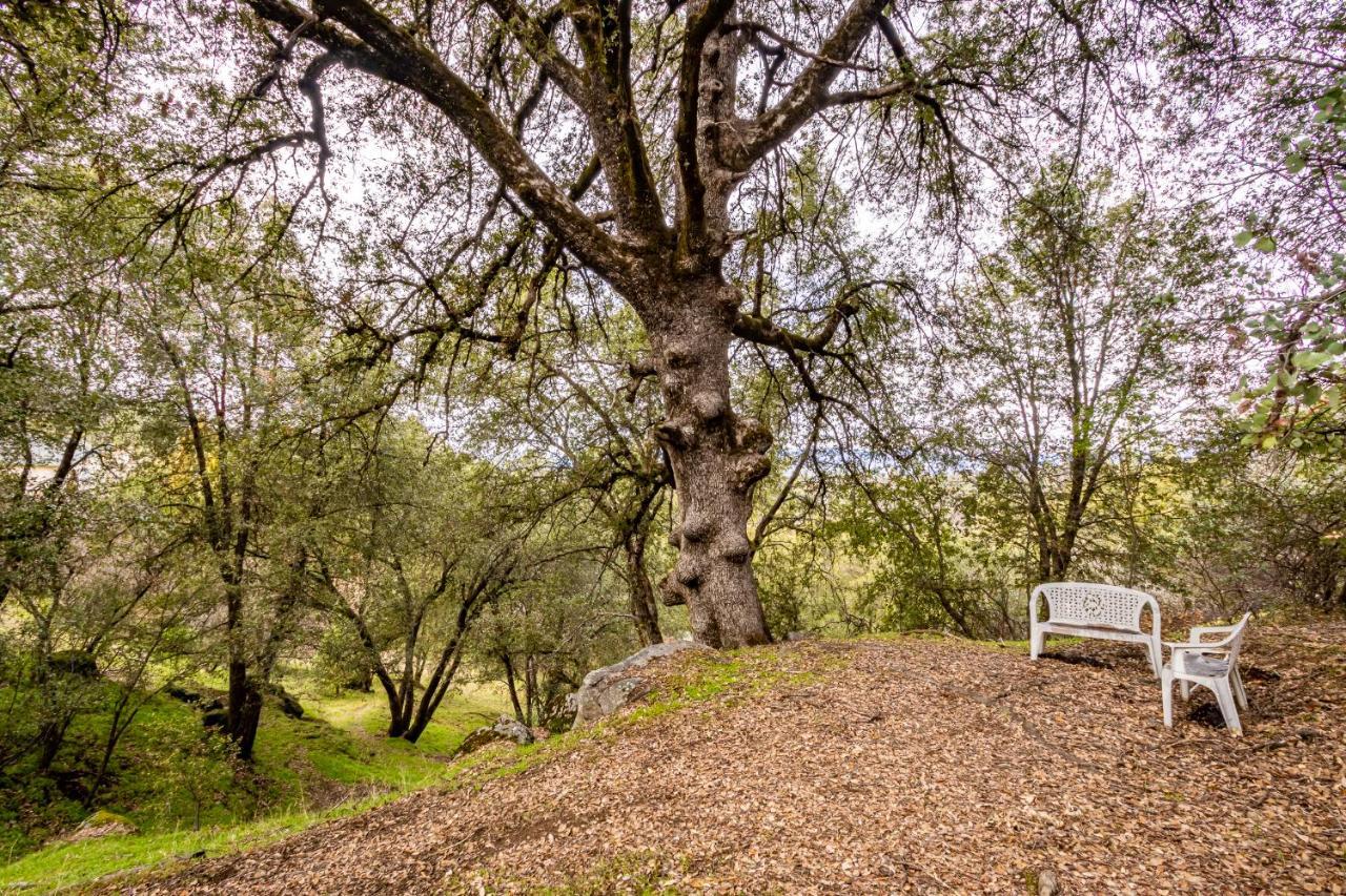 Spectacular Views W/ Hot Tub/Bbq -Yosemite & Bass Lake Villa Oakhurst Exterior photo